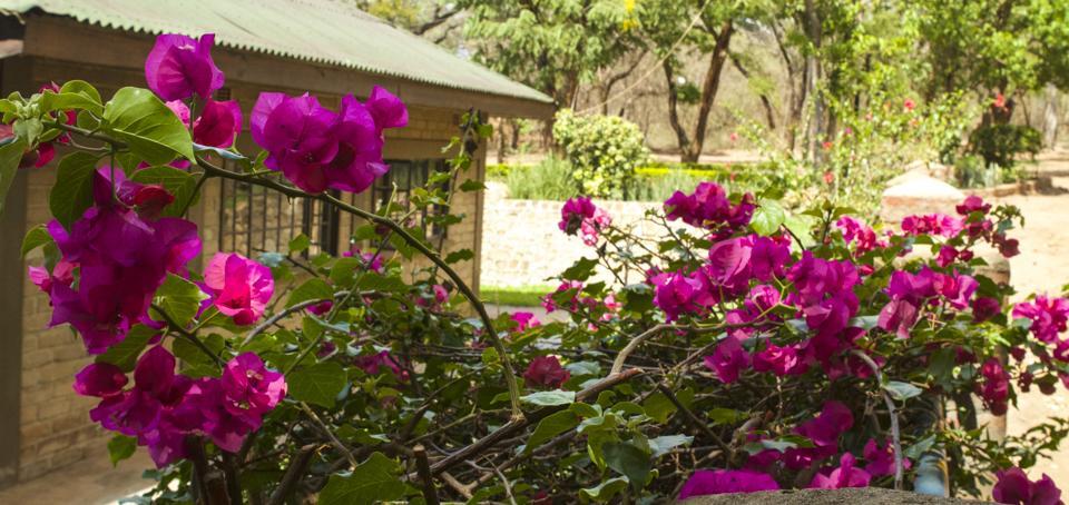 Hotel Woodlands Lilongwe Esterno foto