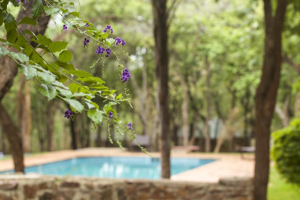 Hotel Woodlands Lilongwe Esterno foto